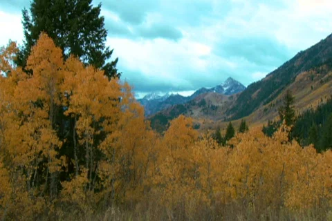 Autumn mountains 8 Stock Footage 442994