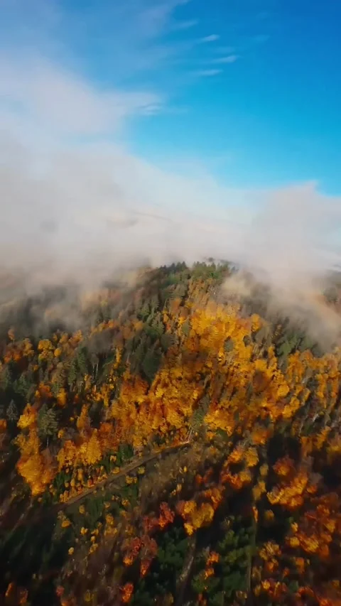 Autumn in the mountains with clouds Stock Footage 273061825