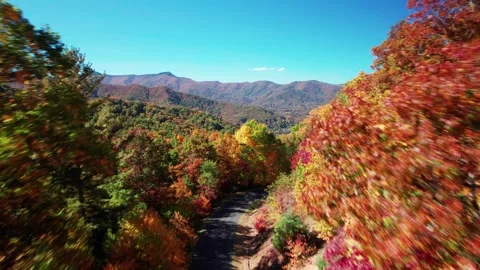 Autumn Mountains Flythrough 1 Stock Footage 248719688