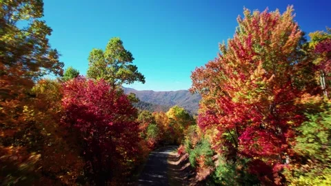 Autumn Mountains Flythrough 2 Stock Footage 248719693
