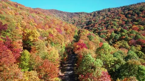 Autumn Mountains Flythrough 3 Stock Footage 248719868
