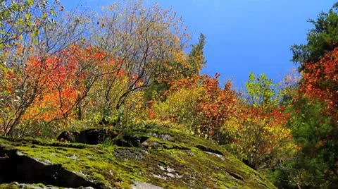 Autumn in the Mountains. Stock Footage 8922290