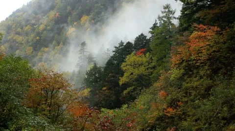 Autumn in the Mountains. Stock Footage 8922311