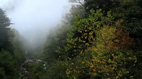 Autumn in the Mountains. Stock Footage 8922312
