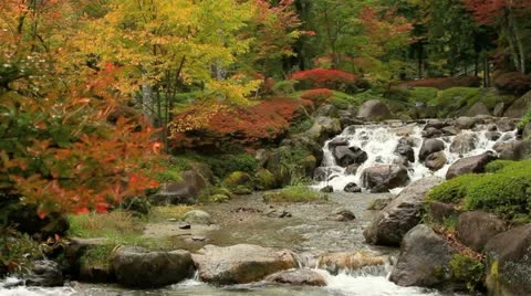 Autumn in the Mountains. Video stock 12411324