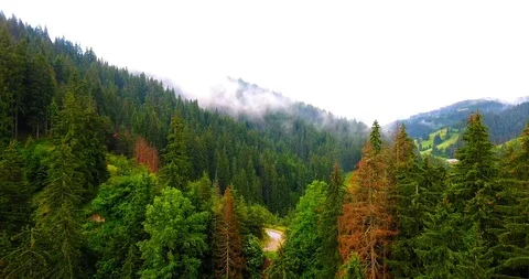 Autumn in the mountains Stock Footage 123208813