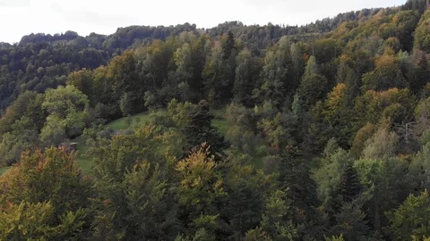 Autumn in the mountains Stock Footage 127185279