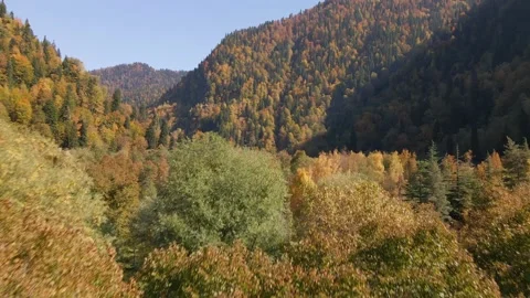 Autumn in the mountains Stock Footage 220231073