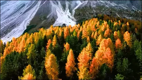 Autumn in the mountains Video stock 305245647