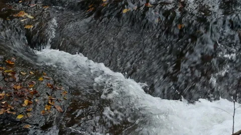 Autumn in mountains - forest spring Stock Footage 43969287