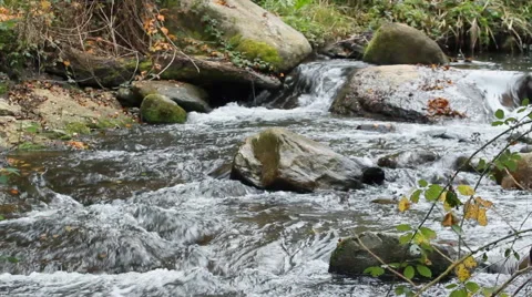 Autumn in mountains - forest spring Stock Footage 43969348