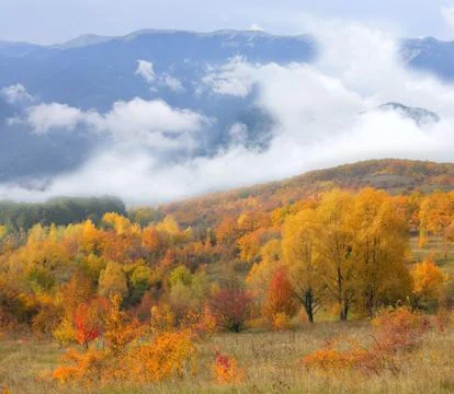 Autumn in mountains 스톡 사진