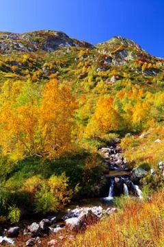 Autumn in the mountains Stock Photos