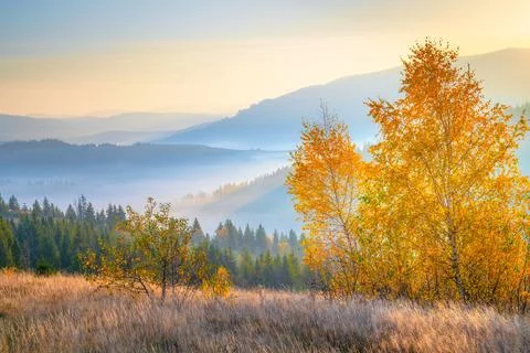 Autumn in mountains Stock Photos