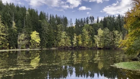 Autumn multi-colored trees on the river bank are reflected from the water Stock Footage 288566038
