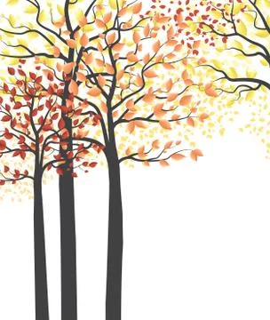 Autumn multicolored forest Stock Illustration