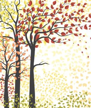 Autumn multicolored forest Stock Illustration