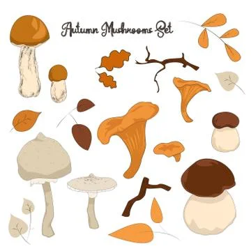Autumn mushroom set Stock Illustration