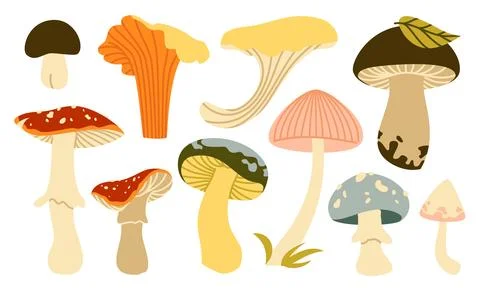 Autumn Mushrooms Vector Set Flat Geometric Forest Fungus Collection Isolated Illustrazione stock