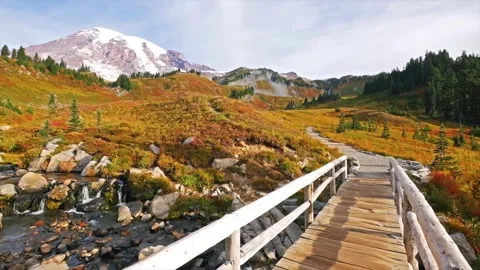 Autumn at Myrtle Falls Trail, Mount Rainier National Park Video stock 332140202