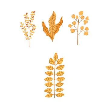 Autumn natural decor featuring various golden leaves Stock Illustration