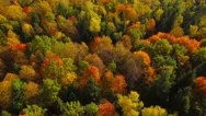 Autumn Nature Aerial Landscape Flight Over Lake And Brightly Colored Forest. Stock Footage