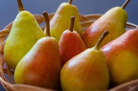 Autumn nature concept. Fall pears on wood. Thanksgiving dinner Stock Photos