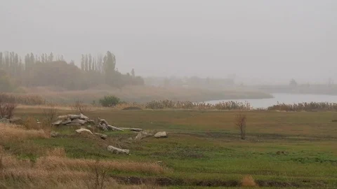 Autumn nature Vídeos de archivo 81539741