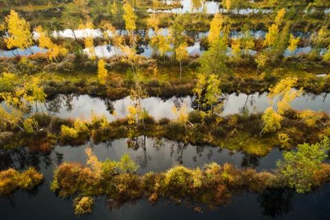 Autumn nature Foto stock