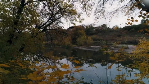 Autumn nature by the river Stock Footage 94671686