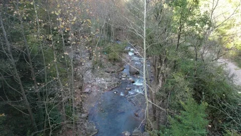 Autumn nature view Stock-Footage 223647593
