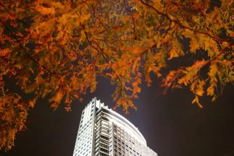 Autumn Night Building View Stock Photos
