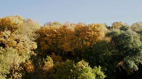 Autumn is not less beautiful than spring Stock-Footage 98050391