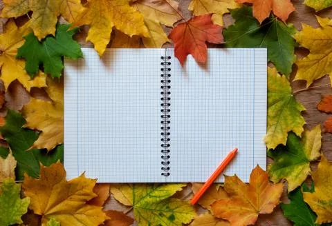 Autumn notebook Stock Photos