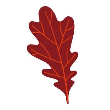 Autumn Oak Leaf. Hand drawn trendy flat style isolated Stock Illustration