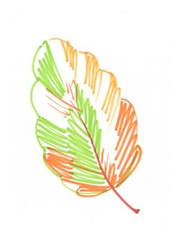 An autumn oak leaf, hand-drawn with a felt-tip pen on a white background Stock Illustration