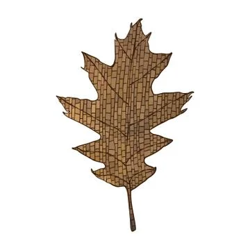 Autumn oak leaf. Stock Illustration