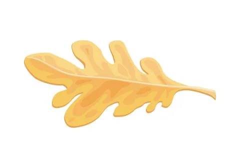 Autumn Oak Leaf isolated Over White Background Ilustração Stock