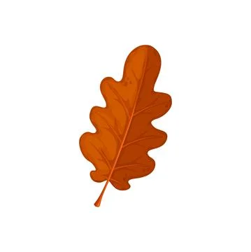 Autumn oak leaf, oak tree fall isolated dry leaves Stock Illustration