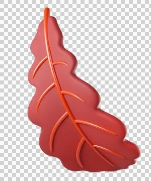 Autumn oak leaf in red Stock Illustration