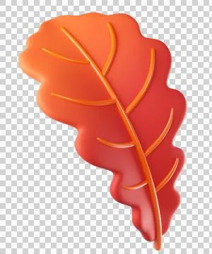 Autumn oak leaf in red Stock Illustration