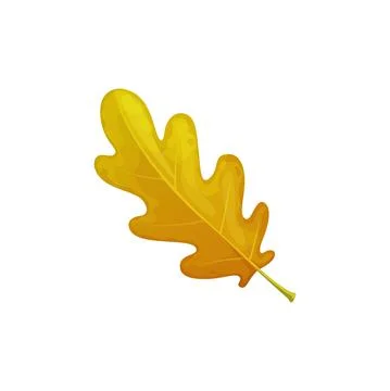 Autumn oak leaf vector icon, cartoon fall foliage イラスト素材
