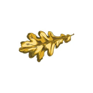 Autumn oak leaf vector icon, hand drawn isolated fallen foliage, dry brown tree Illustrazione stock