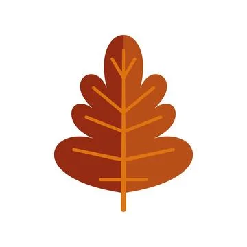Autumn oak leaf vector icon representing fall season Illustrazione stock
