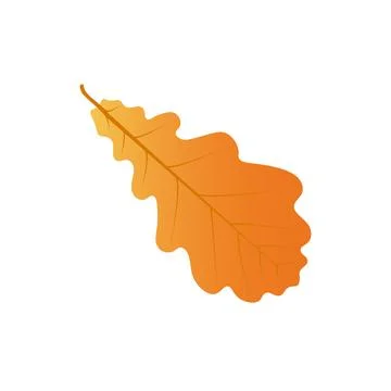 Autumn oak leaf vector Stock Illustration