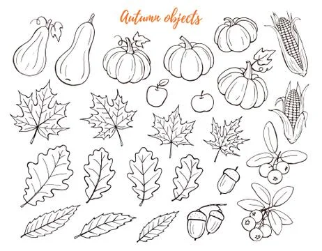 Autumn objects set Illustrazione stock