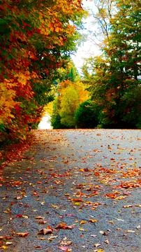Autumn in October Stock Photos