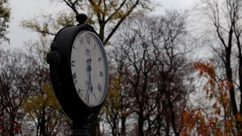 Autumn. Old clock close-up on a background of autumn old park Stock Footage 118709886
