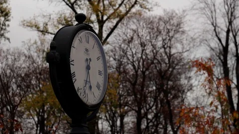 Autumn. Old clock close-up on a background of autumn old park. Time lapse Stock Footage 118709970