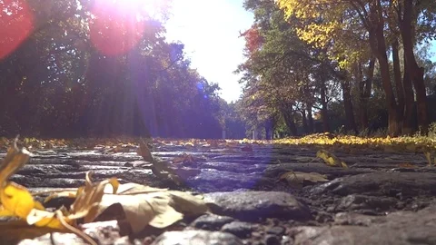 Autumn old road Stock Footage 96518849
